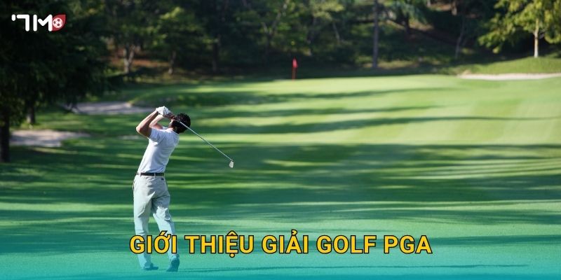 Giới thiệu giải golf PGA