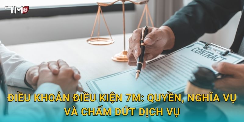 Điều khoản điều kiện 7M: quyền, nghĩa vụ và chấm dứt dịch vụ