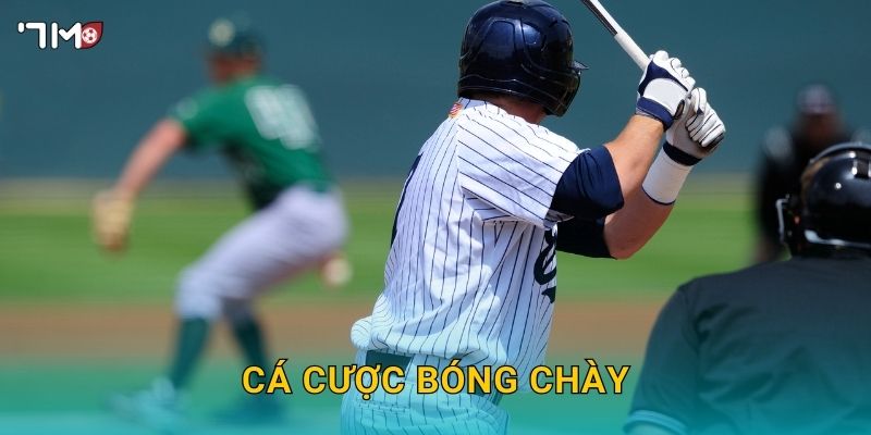 Cá Cược Bóng Chày 7M – Bí Kíp Dự Đoán Kết Quả Chính Xác Nhất 1 Cá Cược Bóng Chày 7M – Bí Kíp Dự Đoán Kết Quả Chính Xác Nhất