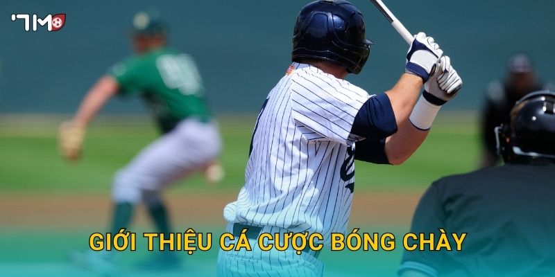 Cá Cược Bóng Chày 7M – Bí Kíp Dự Đoán Kết Quả Chính Xác Nhất 2 Giới thiệu cá cược bóng chày