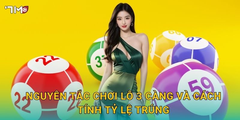Lô 3 càng 7M – Hướng dẫn soi cầu, tối đa hóa lợi nhuận 2 Nguyên tắc chơi lô 3 càng và cách tính tỷ lệ trúng
