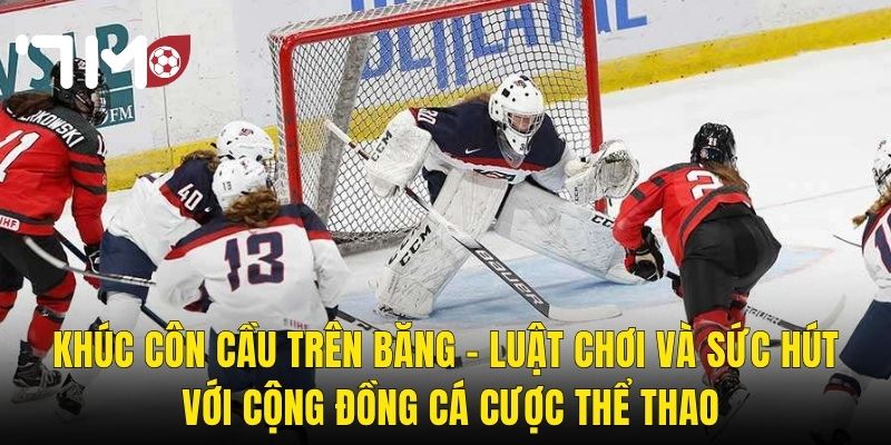Khúc Cầu Cầu Trên Băng – Luật Chơi Và Sức Hút Với Cộng Đồng Cá Cược Thể Thao