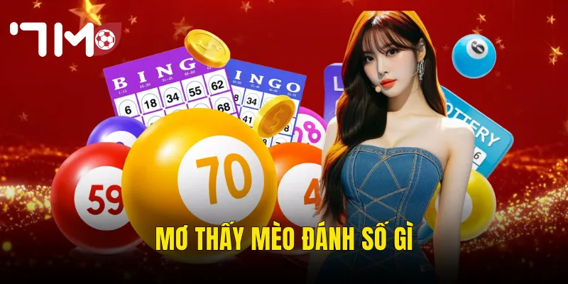 Mơ Thấy Mèo Đánh Số Gì – Giải Mã Giấc Mơ Và Bí Kíp Chọn Số Tại 7m 9 Mơ thấy mèo đánh số gì