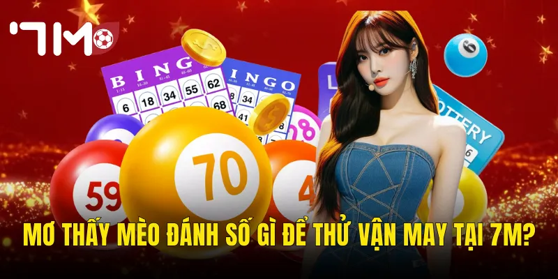 Mơ Thấy Mèo Đánh Số Gì Để Thử Vận May Tại 7m?