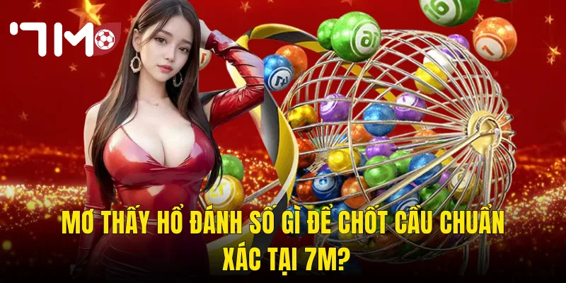 Mơ Thấy Hổ Đánh Số Gì Để Chốt Cầu Chuẩn Xác Tại 7m?