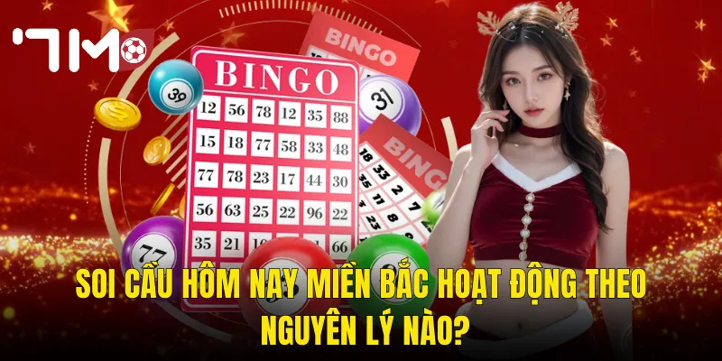 Soi Cầu Hôm Nay Miền Bắc Tại 7m – Dự Đoán Chuẩn Xác Giúp Chốt Số Tự Tin 2 Soi Cầu Hôm Nay Miền Bắc Hoạt Động Theo Nguyên Lý Nào?