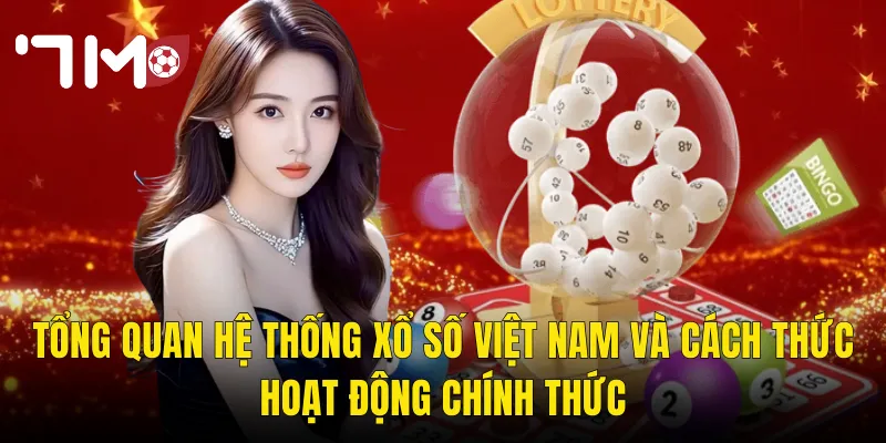 Tổng Quan Hệ Thống Xổ Số Việt Nam Và Cách Thức Hoạt Động Chính Thức