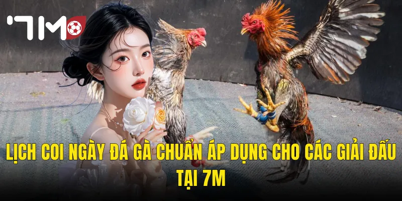 Lịch Coi Ngày Đá Gà Chuẩn Áp Dụng Cho Các Giải Đấu Tại 7m