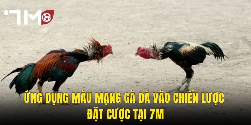 Ứng Dụng Màu Mạng Gà Đá Vào Chiến Lược Đặt Cược Tại 7m