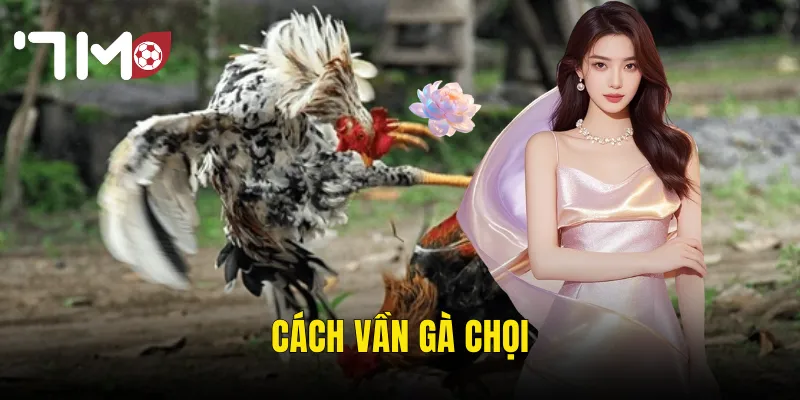 cách vần gà chọi