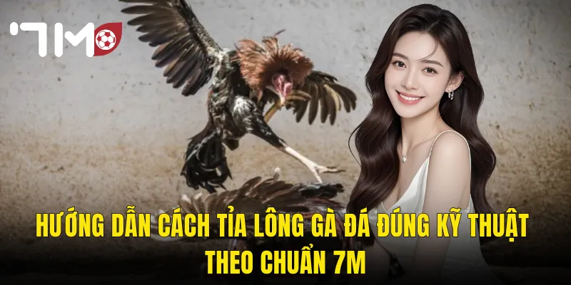 Hướng Dẫn Cách Tỉa Lông Gà Đá Đúng Kỹ Thuật Theo Chuẩn 7m