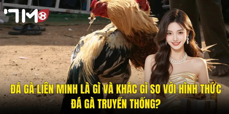Đá Gà Liên Minh Là Gì Và Khác Gì So Với Hình Thức Đá Gà Truyền Thống?