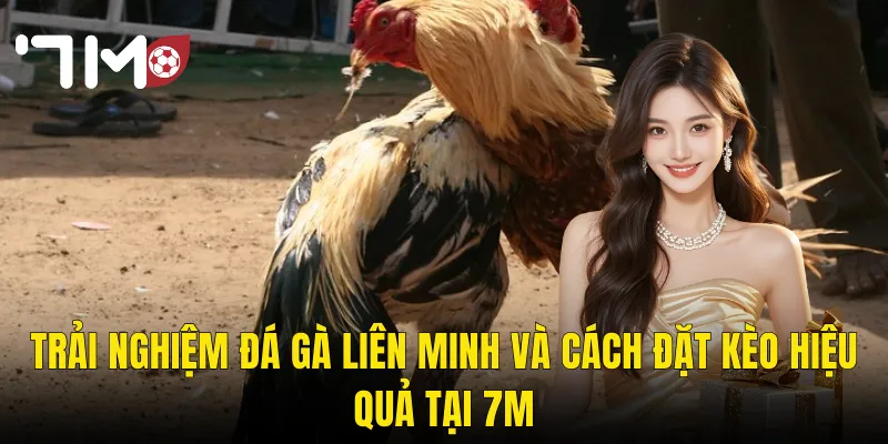 Trải Nghiệm Đá Gà Liên Minh Và Cách Đặt Kèo Hiệu Quả Tại 7m