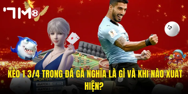 Kèo 1 3/4 Đá Gà Tại 7m – Hiểu Đúng Luật Chơi Để Chốt Kèo Chuẩn Xác 2 Kèo 1 3/4 Trong Đá Gà Nghĩa Là Gì Và Khi Nào Xuất Hiện?