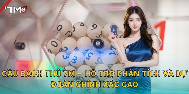 Cầu Bạch Thủ 7m – Hỗ Trợ Phân Tích Và Dự Đoán Chính Xác Cao