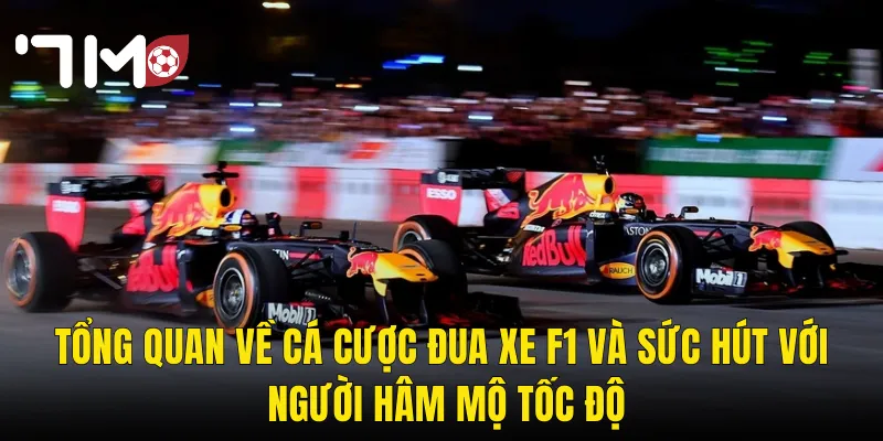 Tổng Quan Về Cá Cược Đua Xe F1 Và Sức Hút Với Người Hâm Mộ Tốc Độ