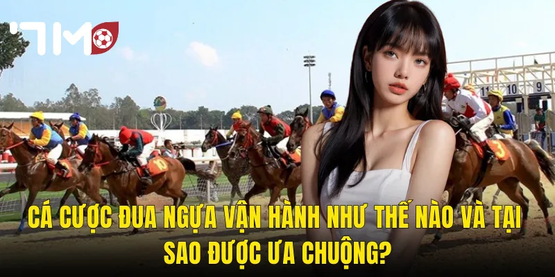 Cá Cược Đua Ngựa Tại 7m – Trải Nghiệm Hoàng Gia Và Nghệ Thuật Đọc Kèo Đỉnh Cao 2 Cá Cược Đua Ngựa Vận Hành Như Thế Nào Và Tại Sao Được Ưa Chuộng?